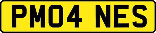 PM04NES