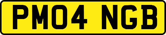 PM04NGB
