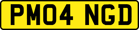 PM04NGD