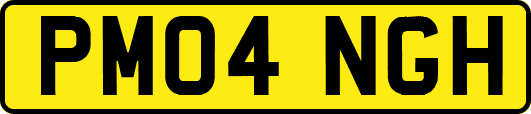 PM04NGH