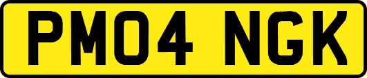 PM04NGK