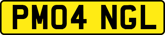 PM04NGL