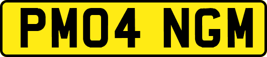 PM04NGM