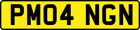 PM04NGN