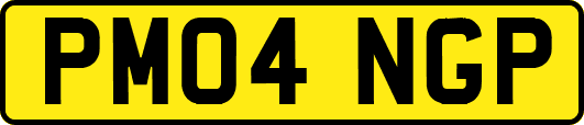 PM04NGP