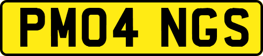 PM04NGS