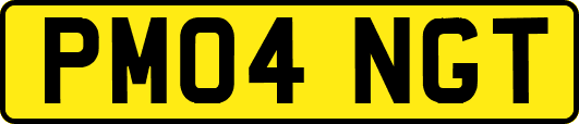 PM04NGT