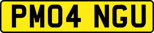 PM04NGU