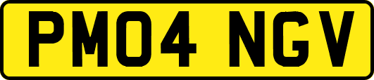 PM04NGV