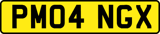 PM04NGX