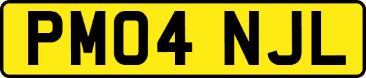 PM04NJL