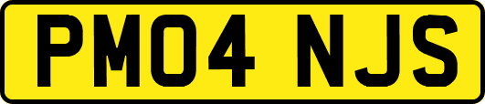 PM04NJS