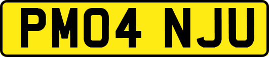 PM04NJU