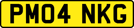 PM04NKG