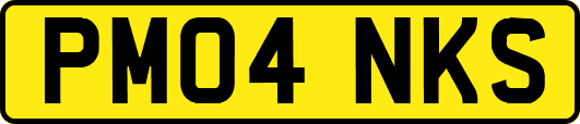 PM04NKS