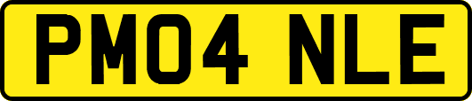 PM04NLE