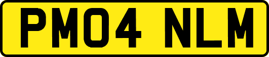 PM04NLM