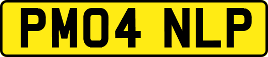 PM04NLP