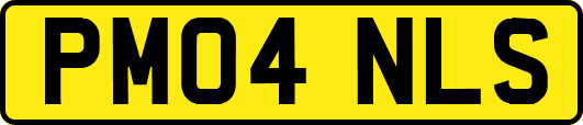 PM04NLS