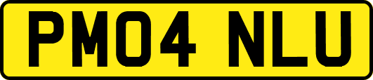 PM04NLU