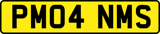 PM04NMS