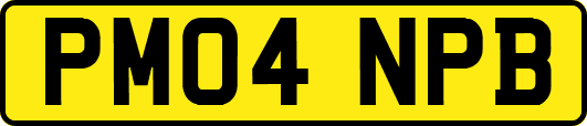 PM04NPB
