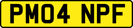 PM04NPF