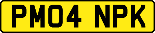 PM04NPK