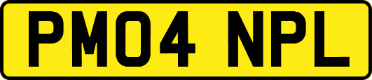 PM04NPL
