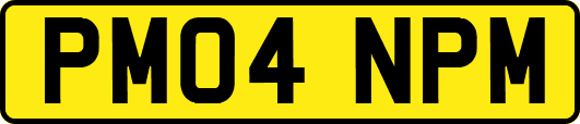 PM04NPM