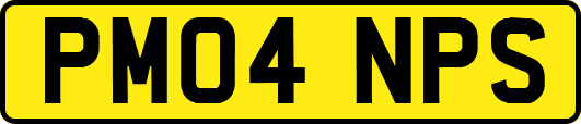 PM04NPS