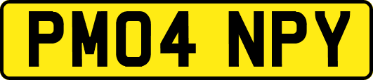 PM04NPY