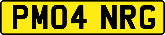 PM04NRG
