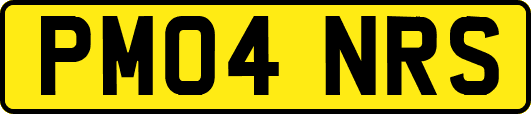 PM04NRS