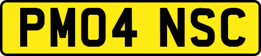 PM04NSC