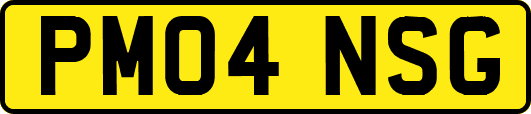PM04NSG