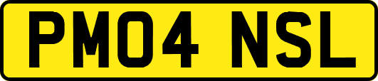 PM04NSL