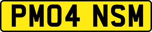 PM04NSM