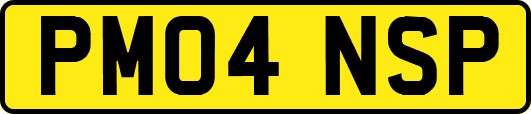PM04NSP