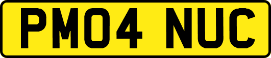 PM04NUC