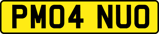PM04NUO