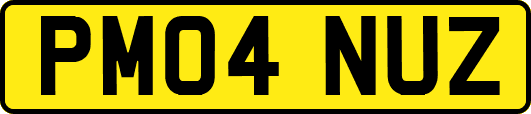 PM04NUZ