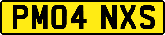 PM04NXS