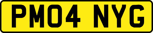 PM04NYG