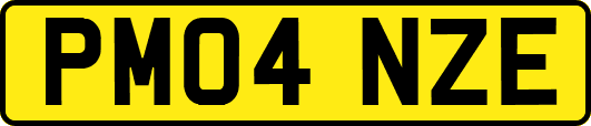 PM04NZE
