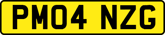 PM04NZG