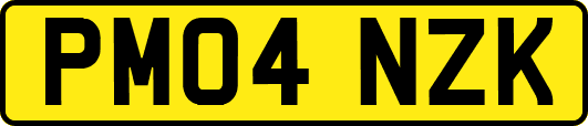 PM04NZK
