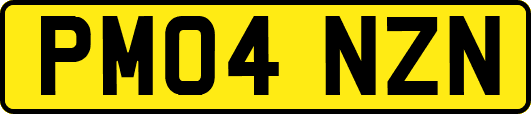 PM04NZN