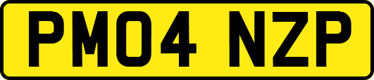 PM04NZP