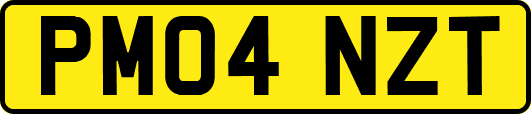PM04NZT